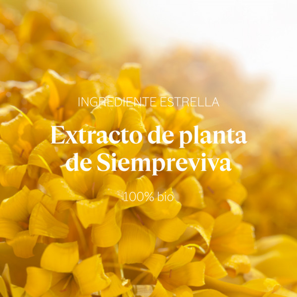 contorno-de-olhos-precious-immortelle
