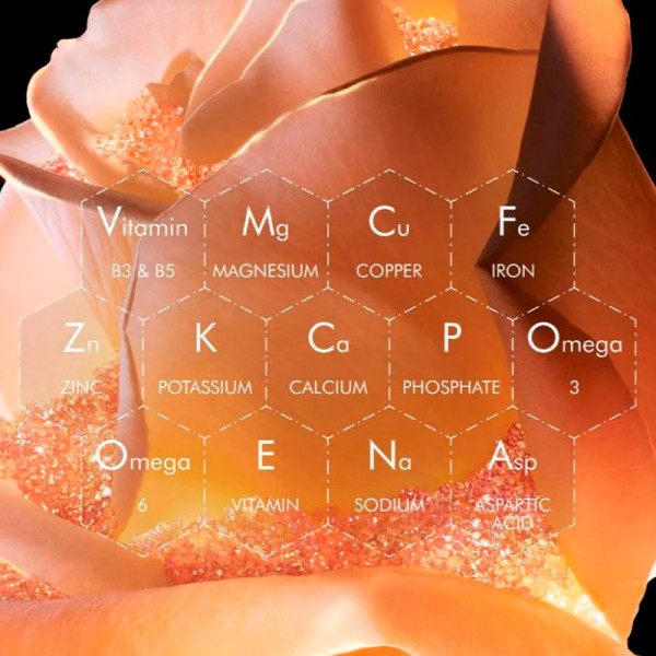 serum-facial-reparador-excepcional-com-micronutrientes