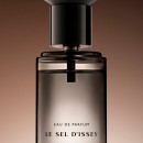 le-sel-dissey