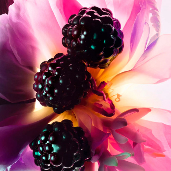 parfumeessens-kandiserede-blomster-og-traeagtige-noter