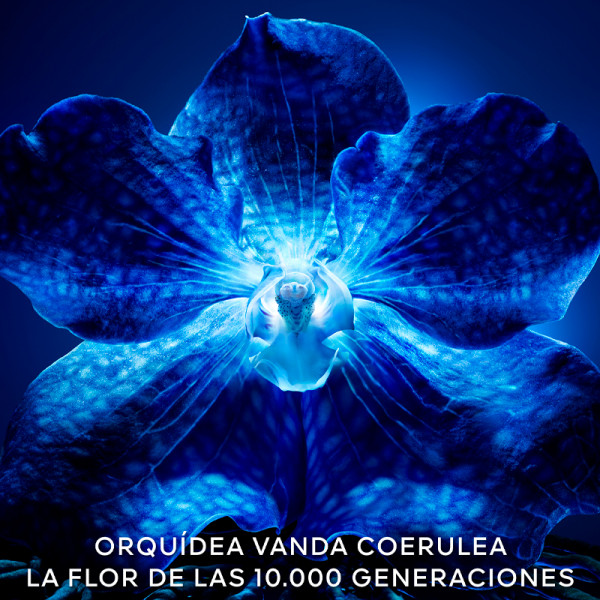 orchidee-imperiale-o-novo-creme-rico-para-a-longevidade