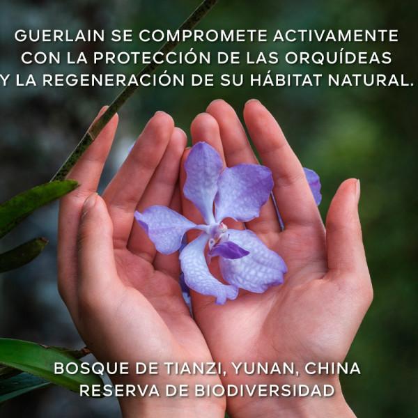 orchidee-imperiale-la-nueva-crema-rica-de-longevidad