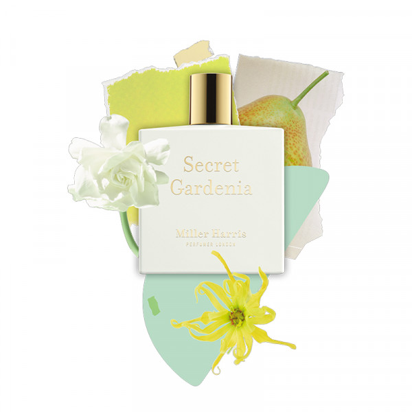 secret-gardenia secret-gardenia