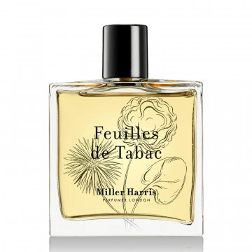 feuilles-de-tabac