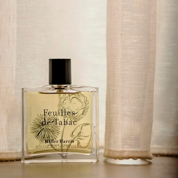feuilles-de-tabac