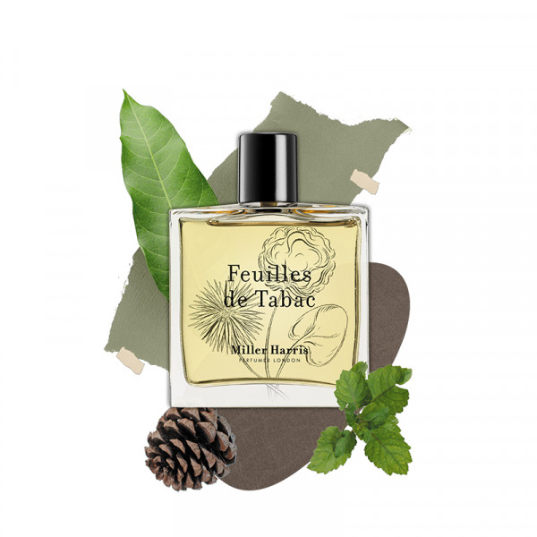feuilles-de-tabac