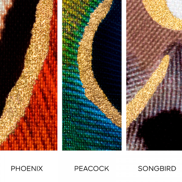 rouge-g-carcasa-the-peacock