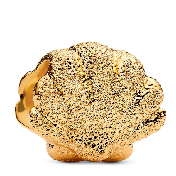 charme-mini-concha-textura-764057c00