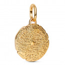 pingente-de-medalhao-de-leao