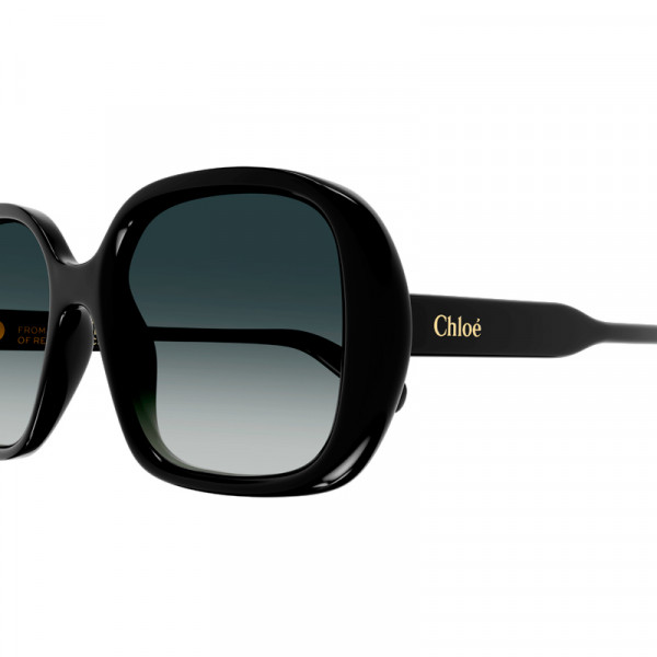 sunglasses-ch0222s