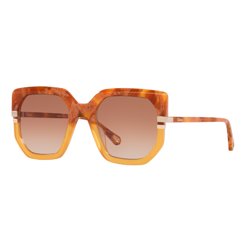 Chloe Women's Brown Sunglasses For Sunglasses Ch0240s
