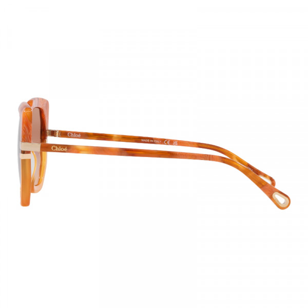 sunglasses-ch0240s