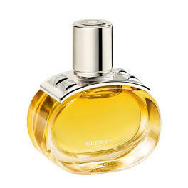 hermes barenia intense