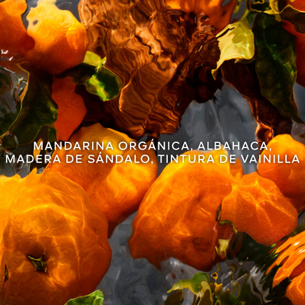 aqua-allegoria-forte-mandarine-basilic-eau-de-parfum-coffret