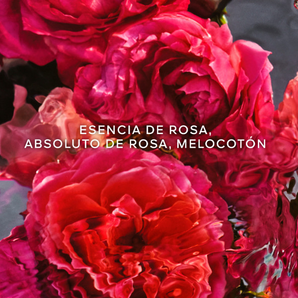 aqua-allegoria-forte-rosa-rossa-eau-de-parfum-impostato