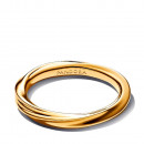 intertwined-ring-163888c00