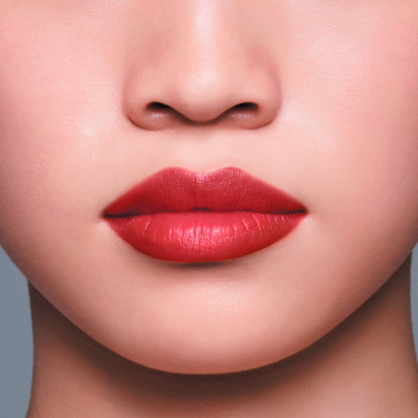 lipliner-ink-duo-lapiz-de-labios-2-en-1