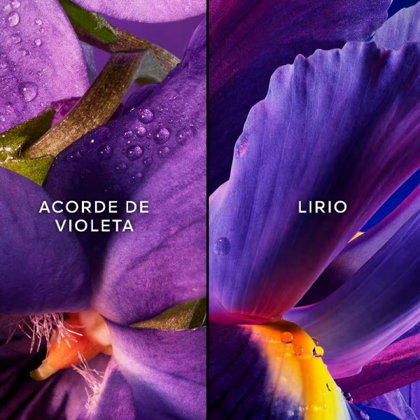 insolence-eau-de-parfum-coffret