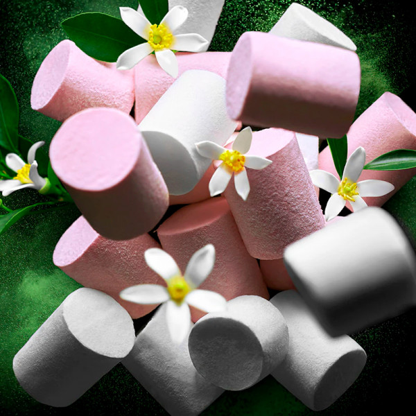 princess-eau-de-parfum-coffret