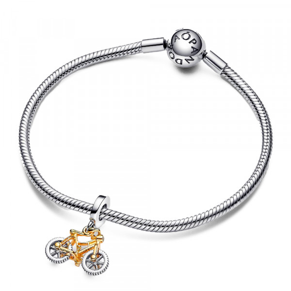 two-tone-spinning-bicycle-wheels-pendant-charm-763354c01