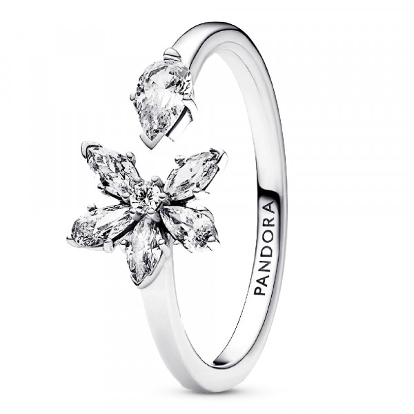 anillo-abierto-herbario-brillante-192611c01