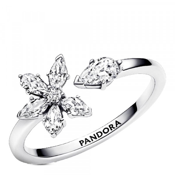 anillo-abierto-herbario-brillante-192611c01