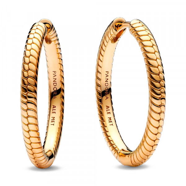 pandora-moments-hoop-earrings-269532c00