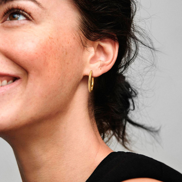 pandora-moments-hoop-earrings-269532c00