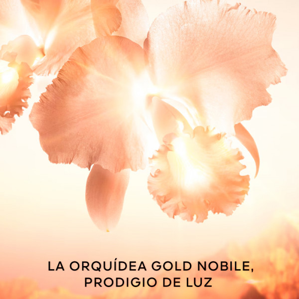 orchidee-imperiale-gold-nobile-kompleksowy-zabieg-przeciwstarzeniowy-i-rozswietlajacy-dla-oczu