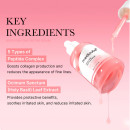 pdrn-pink-peptide-serum-hydrating-and-firming-serum