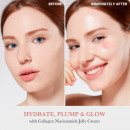 collagen-niacinamide-jelly-cream-anti-aging-kollagenkram