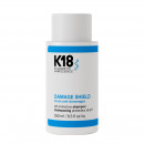 shampoing-protecteur-ph-damage-shield-shampoing-protecteur-de-couleur