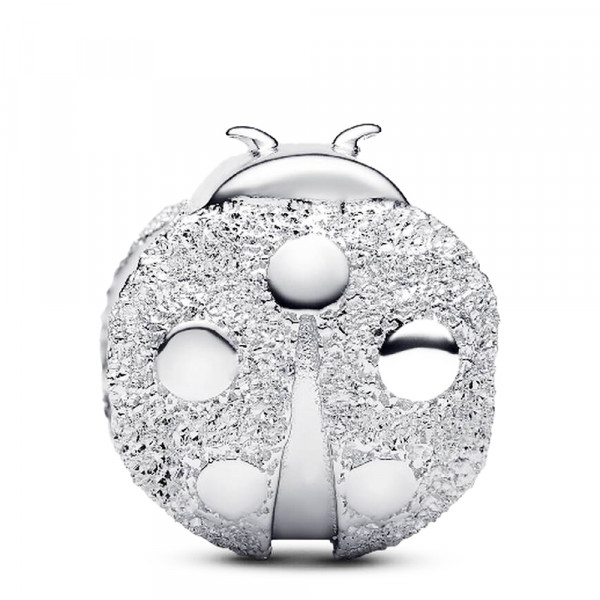 charm-mini-ladybug-texture