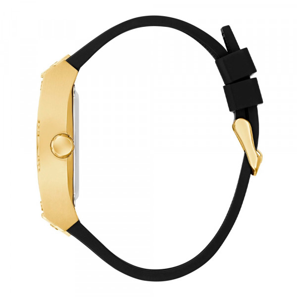 phoenix-gw0980g2-watch