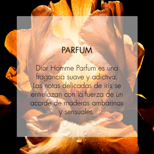 dior-homme-parfum-parfum-amber-holzige-und-blumige-noten