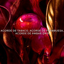tabac-sahara