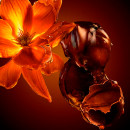 the-scent-intense