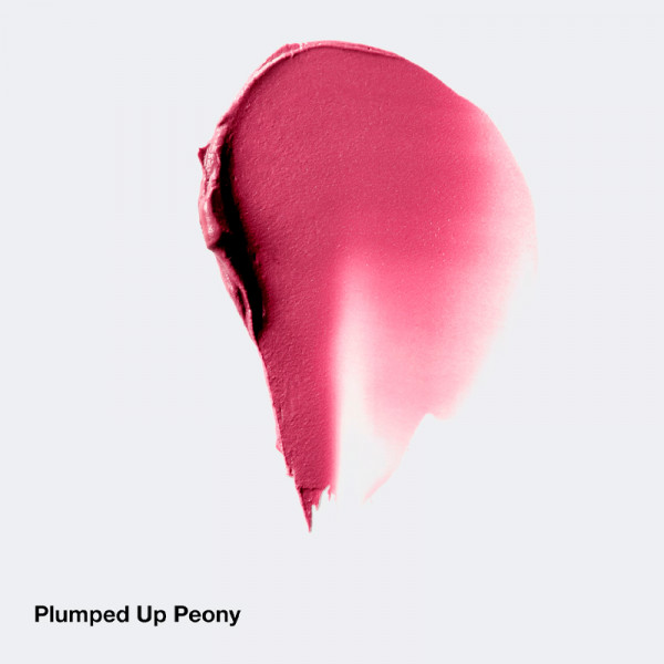 chubby-stick-cheek-getinte-wangbalsem