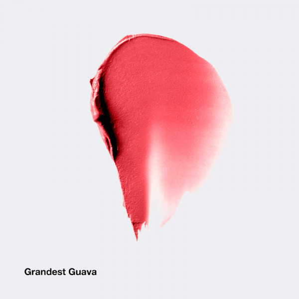 chubby-stick-cheek-balsamo-per-guance-colorato