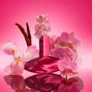 euphoria-magnetic-elixir