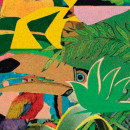 jazmin-yucatan