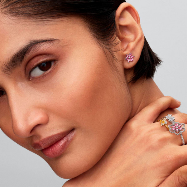 anel-de-abelha-melifera-164562c01