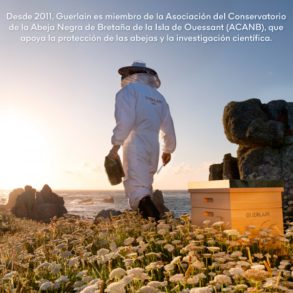 abeille-royale-cream-set-ritual-de-reparacao-da-juventude-e-antienvelhecimento