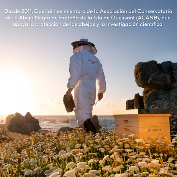 conjunto-de-cremes-abeille-para-noite-e-dia-programa-de-reparacao-e-antienvelhecimento-abeille-royal-youth