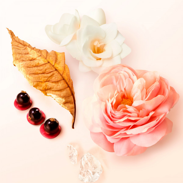 si-eau-de-parfum-set