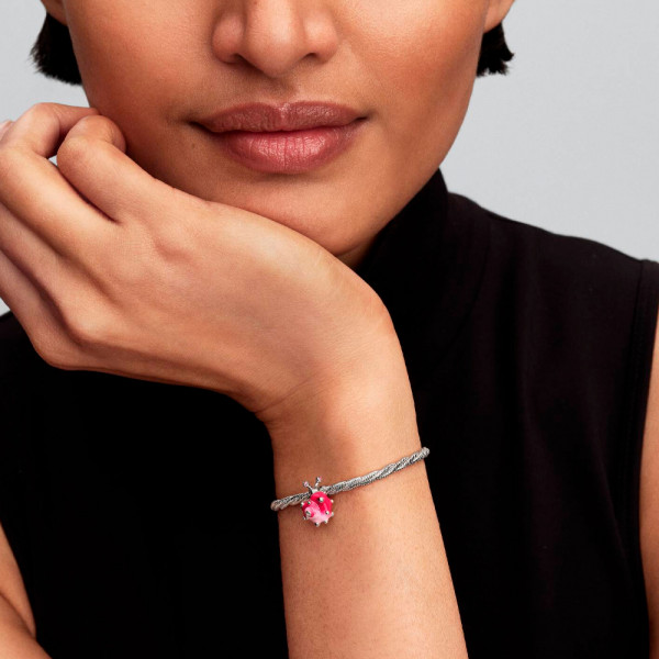 caracol-rosa-encantador