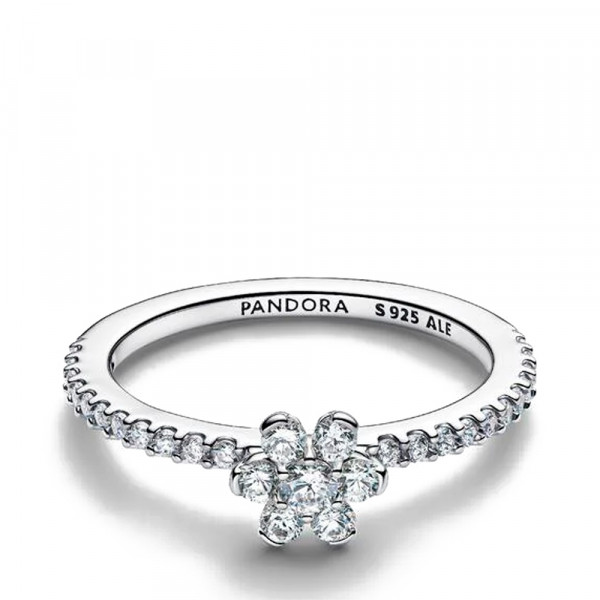 anillo-de-flor-brillante-194499c01