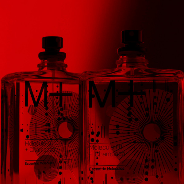 molecule-01-champaca
