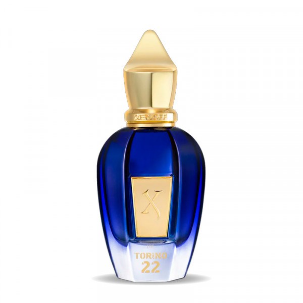 torino22