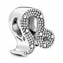 charme-zodiaque-leo-brillant-798414c01
